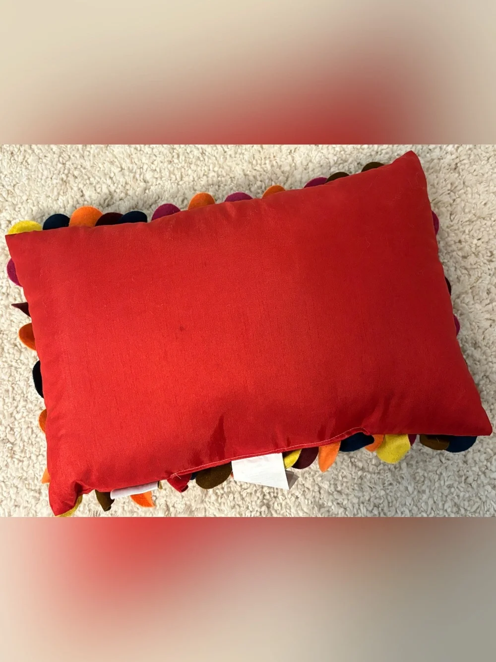 Colorful Accent Pillow by Arlee Home